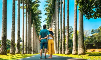 6 Nights 7 Days Bentota Colombo and Kandy Tour Package 6 Nights 7 Days Bentota Colombo and Kandy Tour Package