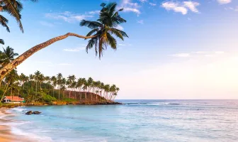 7 Days 6 Nights Sri Lanka Yoga and Wellness Package 7 Days 6 Nights Sri Lanka Yoga and Wellness Package