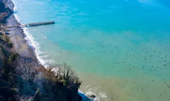 2 Nights 3 Days Kobuleti Tour Package 2 Nights 3 Days Kobuleti Tour Package