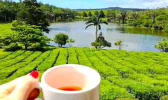 Mesmerizing Mauritius 4 Nights 5 Days Honeymoon Package Mesmerizing Mauritius 4 Nights 5 Days Honeymoon Package