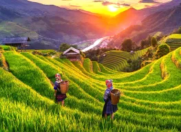 6 Nights 7 Days Hanoi Halong and Ho Chi Minh Tour Package