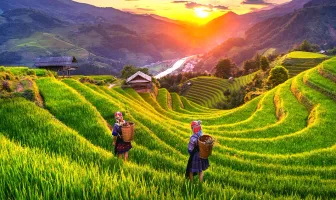 6 Nights 7 Days Hanoi Halong and Ho Chi Minh Tour Package 6 Nights 7 Days Hanoi Halong and Ho Chi Minh Tour Package