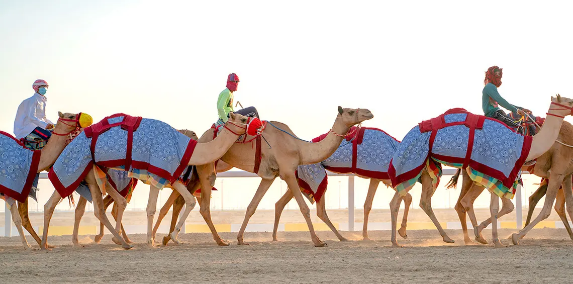 4 days Doha Family Package