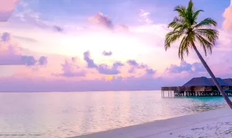 6 Days Sheraton Maldives Full Moon Resort & Spa Tour Package 6 Days Sheraton Maldives Full Moon Resort & Spa Tour Package